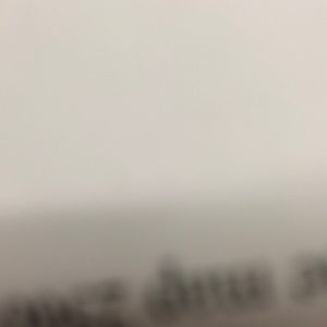 Meet your Posher, Jonah